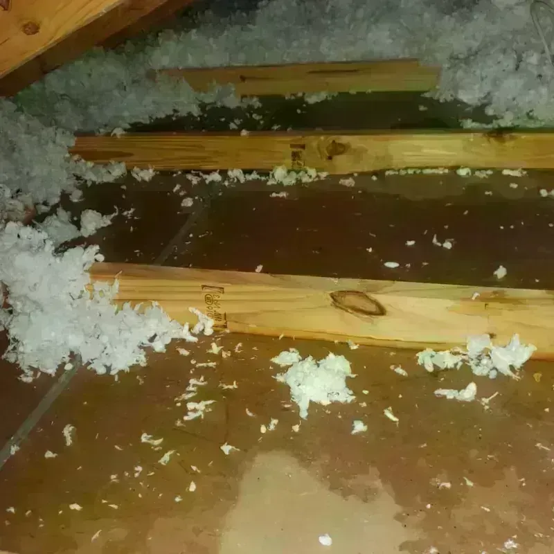 Attic Water Damage in Hinckley, IL